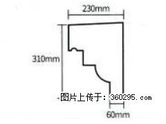 产品分解图型 - 檐口线，型号：SX311-YK-3，规格：230x310mm(3) - 黄南三象EPS建材 huangnan.sx311.cc